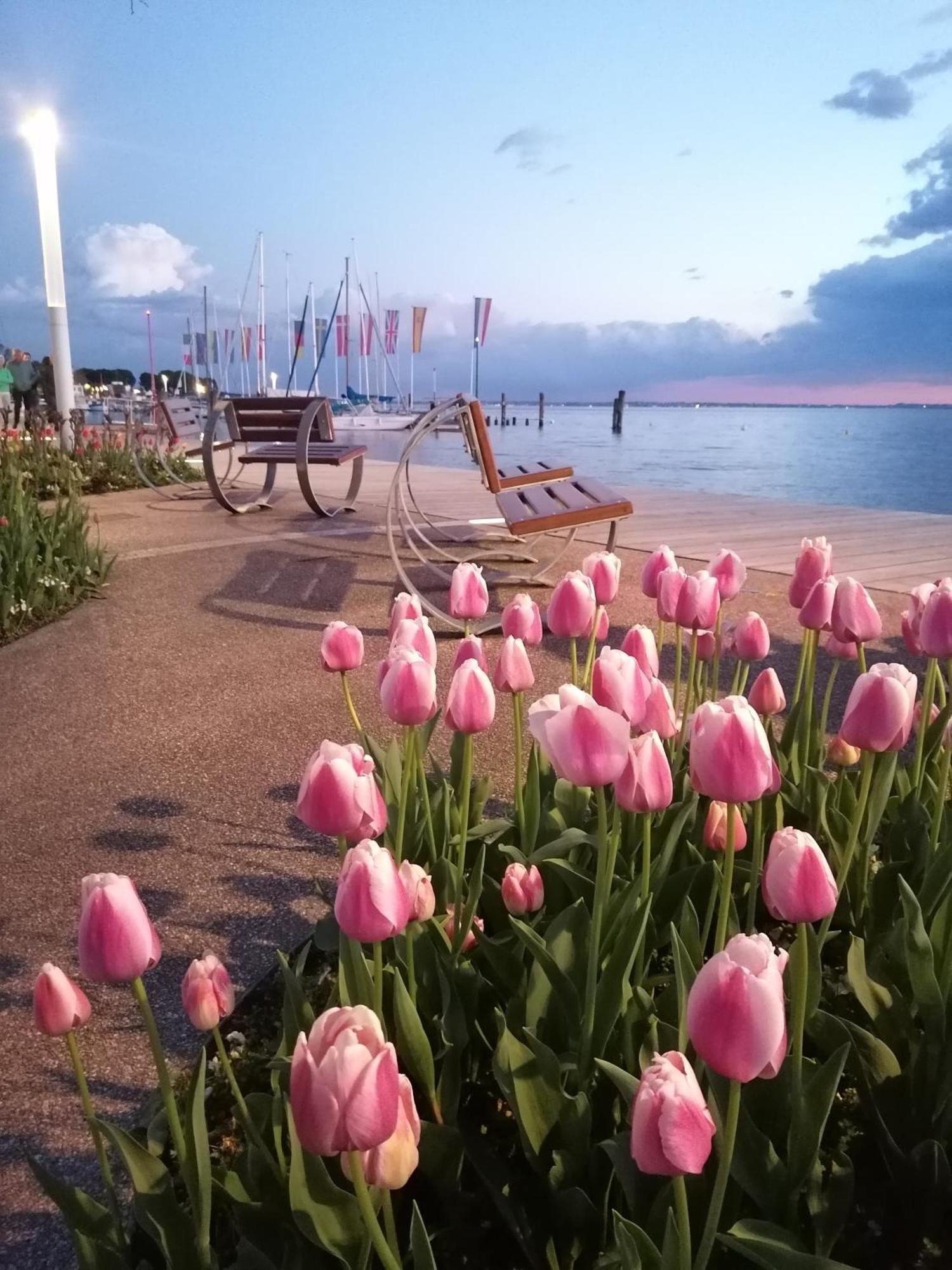 La Casa Di Marzia Apartment บาร์โดลิโน ภายนอก รูปภาพ